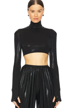 Cropped Slim Fit Long Sleeve Turtleneck Top