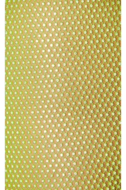 Mini Transparent Skirt