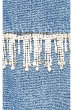 Raya Rhinestone Fringe Jacket