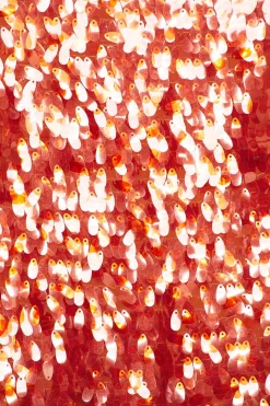 Sculpty Sequin Dress