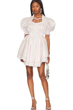 The Portrait of A Lady Dress