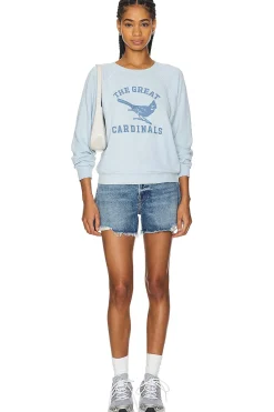 The Shrunken Sweatshirt