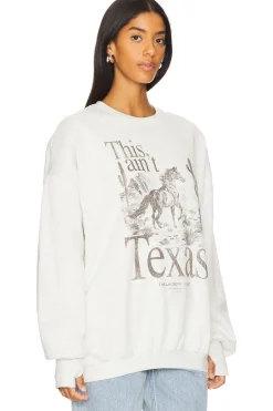 This Ain't Texas Stallion Jumper