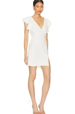 x REVOLVE Cecelia Mini Dress