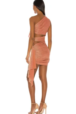 X REVOLVE Gaia Mini Dress